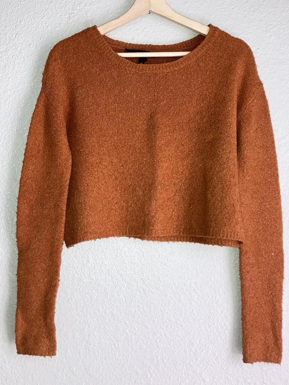 BCBG comfy fuzzy crop top Sweater